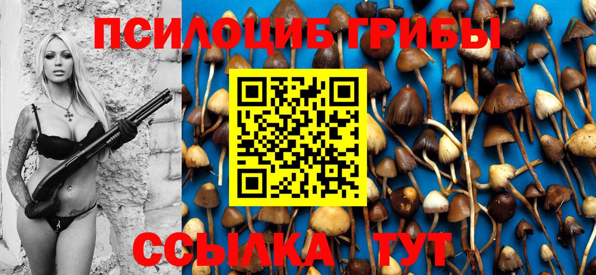 Псилоцибиновые грибы MAGIC MUSHROOMS  Псилоцибиновые грибы MAGIC MUSHROOMS  Вход с VPN  Кирово-Чепецк 