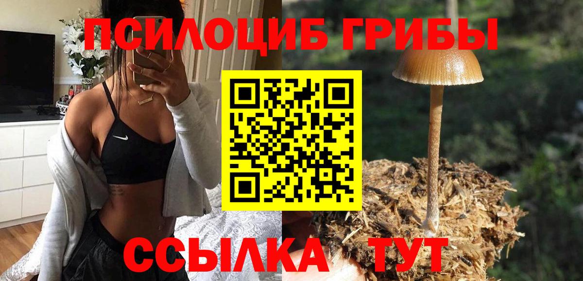 Галлюциногенные грибы MAGIC MUSHROOMS Кирово-Чепецк